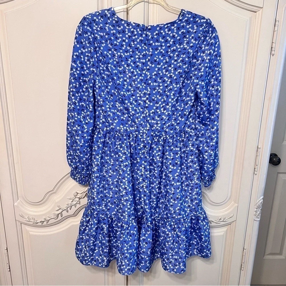 Eliza J Floral Long Sleeve Fit & Flare Cherries Dress, Size 4 - Picture 10 of 13